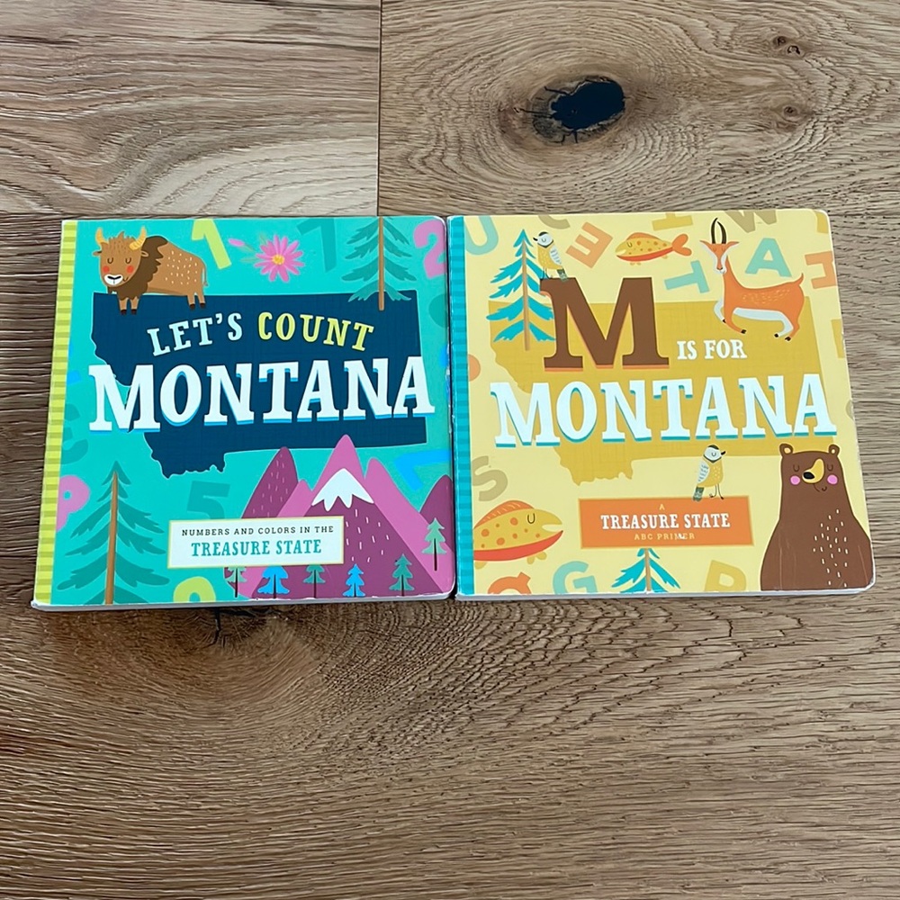 Fun Treasure State Books!